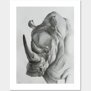 Rhinoceros Posters and Art